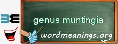 WordMeaning blackboard for genus muntingia